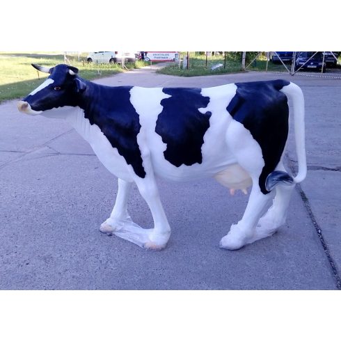 Tehén-140cm-életnagyságú-nem fejhető-fekete foltos