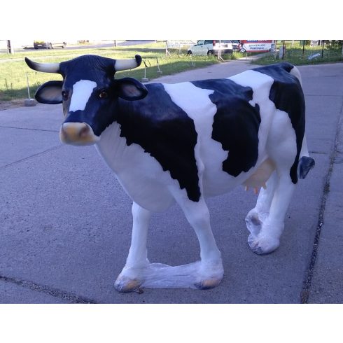 Tehén-140cm-életnagyságú-nem fejhető-fekete foltos