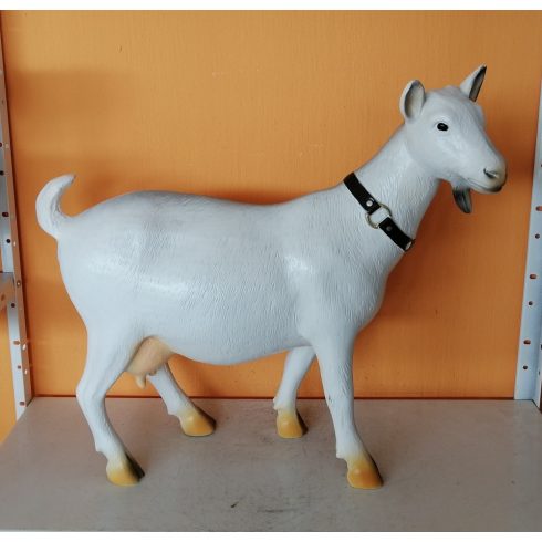 Kecske-50cm-nyakpánttal