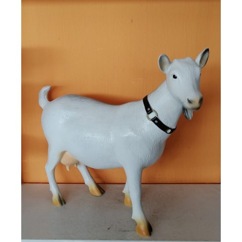 Kecske-50cm-nyakpánttal