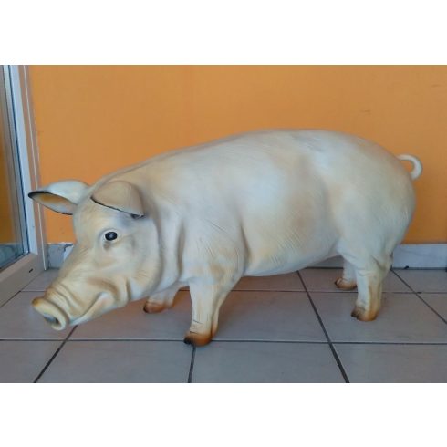 Disznó-48 cm