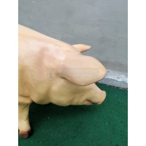Disznó-48 cm/sima testfelület