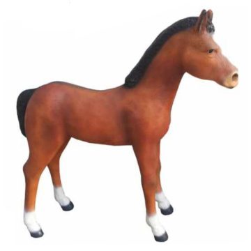 Ló-145cm/csikó