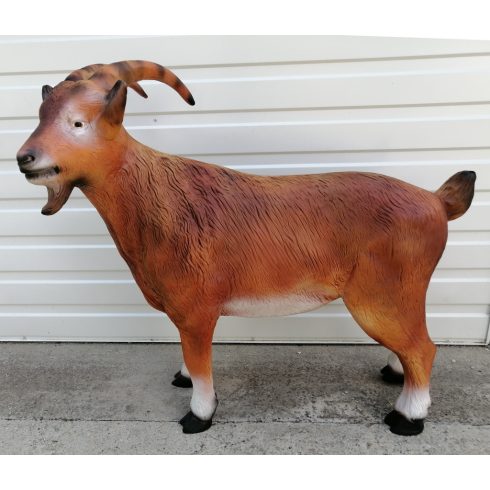 Kecske-90cm/barna