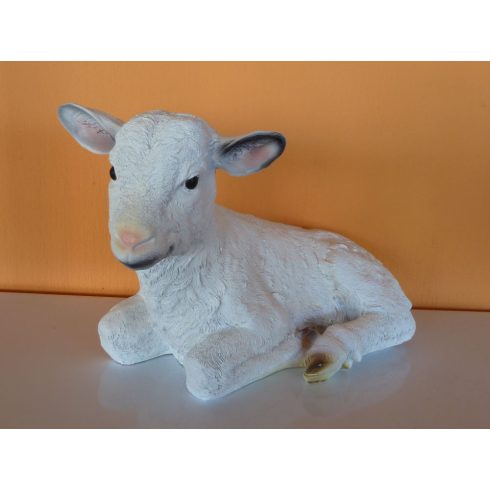 Bárány-fekvő-25cm