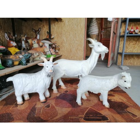 Kecske-32cm-kecskegida