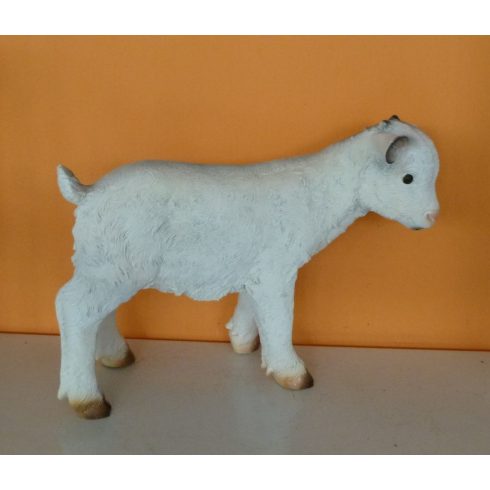 Kecske-32cm-kecskegida