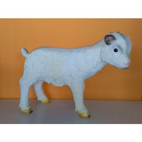 Kecske-32cm-kecskegida