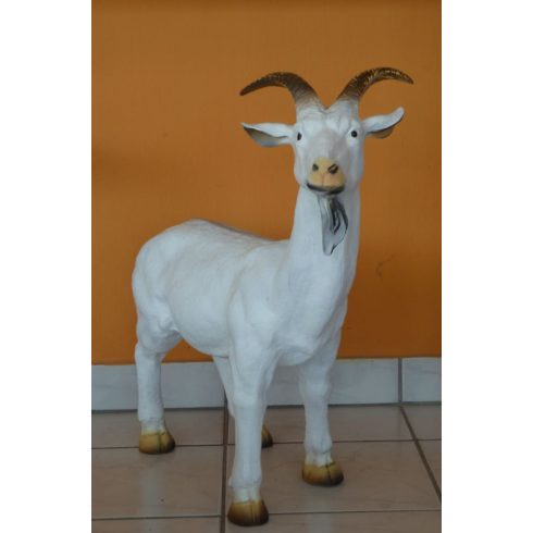 Kecske-60cm/fehér
