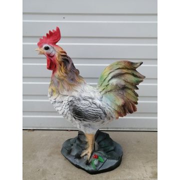 Kakas-66cm