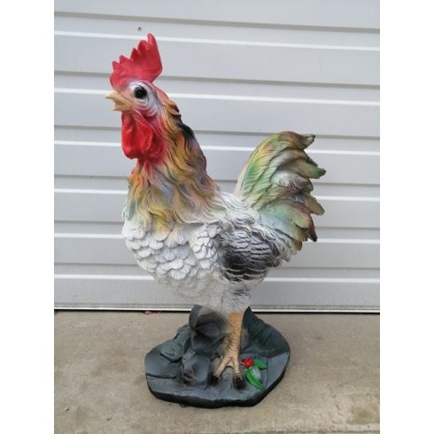 Kakas-66cm