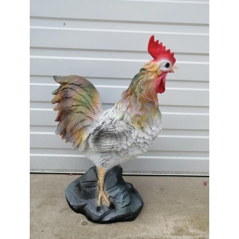 Kakas-66cm
