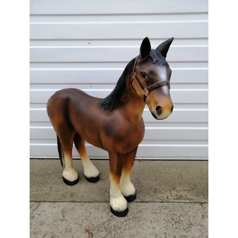 Ló- 70cm