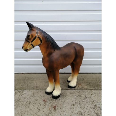 Ló- 70cm