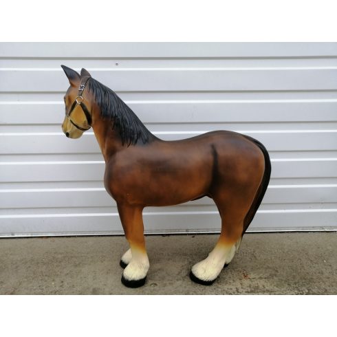 Ló- 70cm