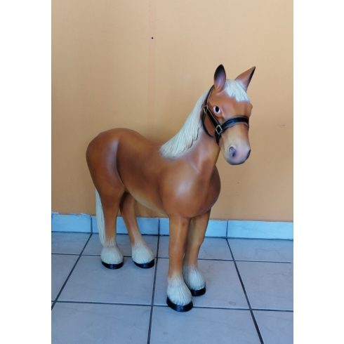 Ló- 70cm