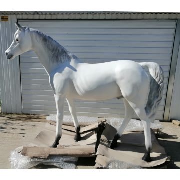 Ló-186cm