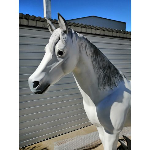 Ló-186cm