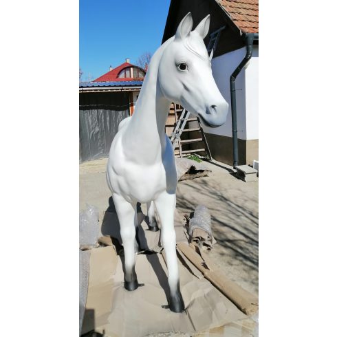Ló-186cm