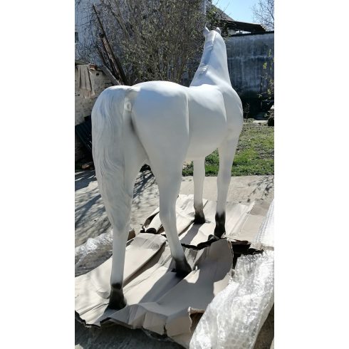 Ló-186cm