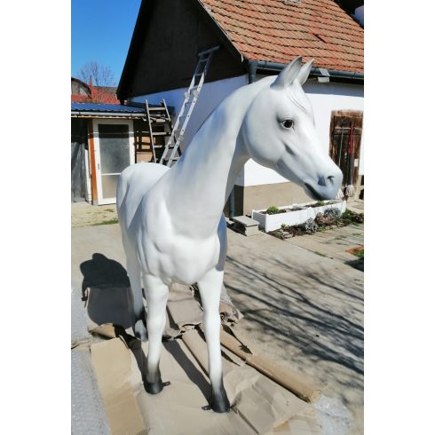 Ló-186cm