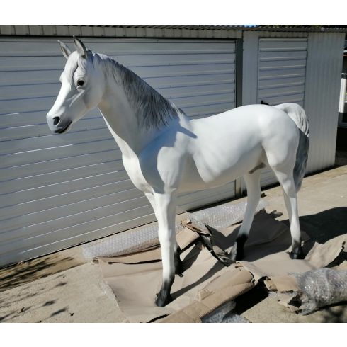 Ló-186cm