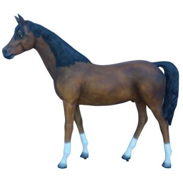 Ló-186cm