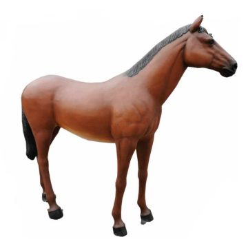 Ló-210cm