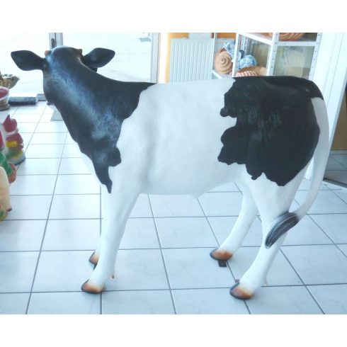 Tehén- 98cm-borjú