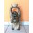 Buddha-kinai-feje-folott-hajo-35-cm-antik-arany