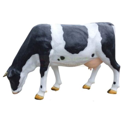 Tehén-140cm-legelő