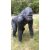 Gorilla-130cm/álló