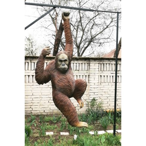 Orangután-240cm-függő 