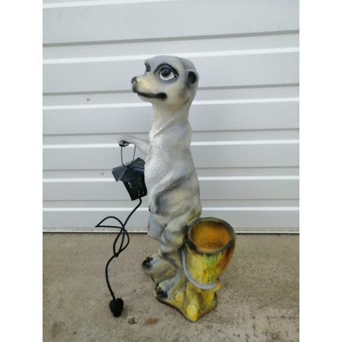 Szurikáta-lámpással