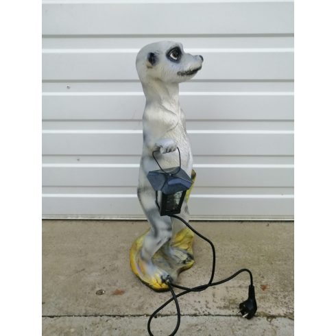 Szurikáta-lámpással