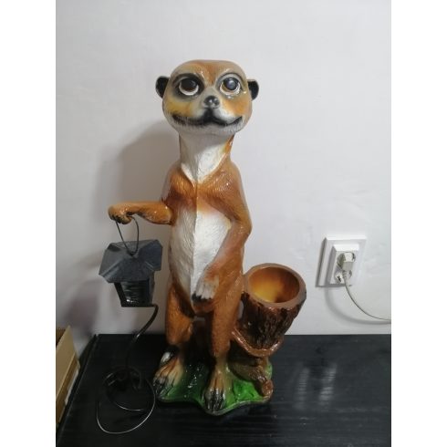 Szurikáta-lámpással