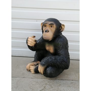 Csimpánz-50cm-ülő