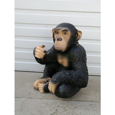 Csimpánz-50cm-ülő