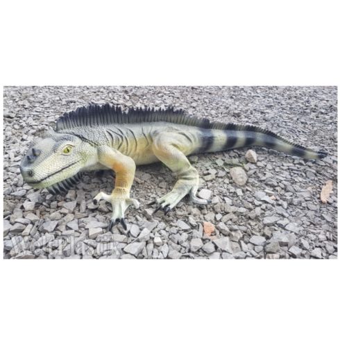 Iguana-90cm
