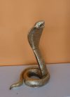 Kobra kígyó-33cm Kobra kígyó-33cm