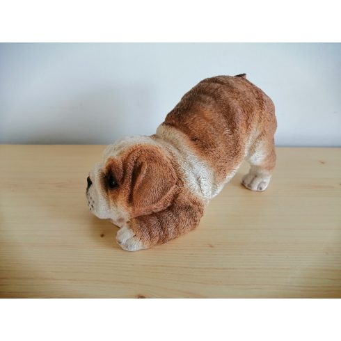 Kutya-Mops-félig fekvő pózban-11cm