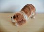 Kutya-Bulldog-angol-félig fekvő pózban-11cm