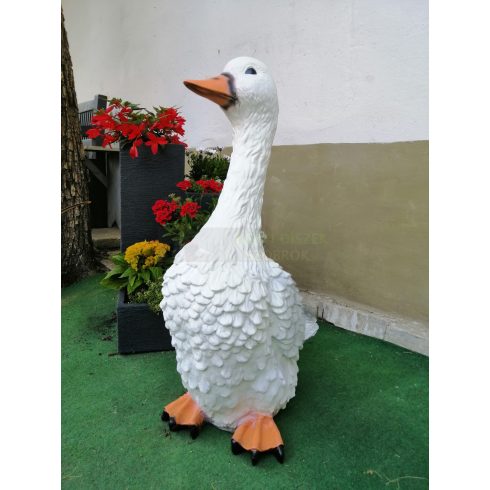 kacsa_75 cm