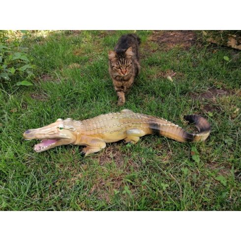 Krokodil- 70cm