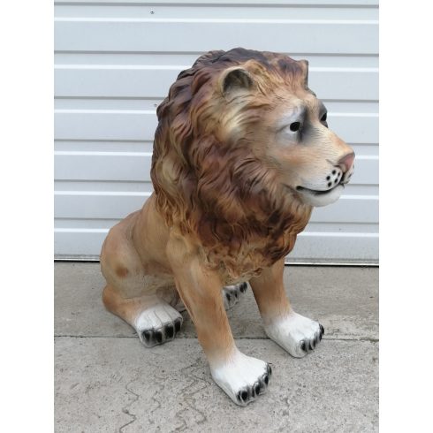 Oroszlán-65cm-hím/ülő