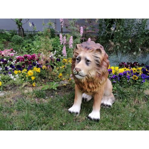 Oroszlán-65cm-hím/ülő