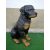 Kutya-Rottweiler-ülő/65cm