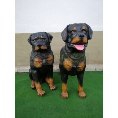 Kutya-Rottweiler-ülő/65cm