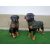 Kutya-Rottweiler-ülő/65cm