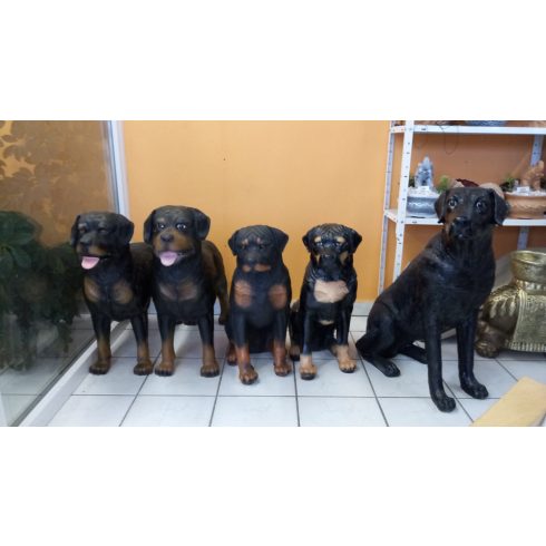 Kutya-Rottweiler-ülő/65cm